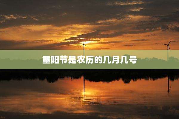 重阳节是农历的几月几号
