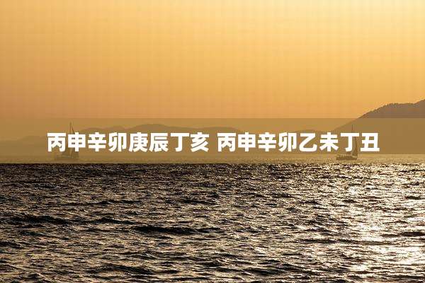 丙申辛卯庚辰丁亥 丙申辛卯乙未丁丑