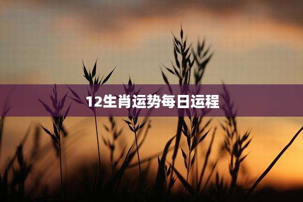 12生肖运势每日运程