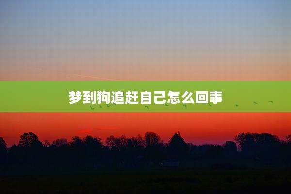梦到狗追赶自己怎么回事