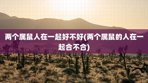 两个属鼠人在一起好不好(两个属鼠的人在一起合不合)
