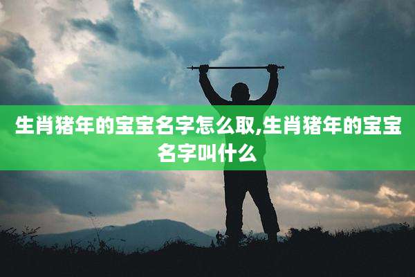 生肖猪年的宝宝名字怎么取,生肖猪年的宝宝名字叫什么