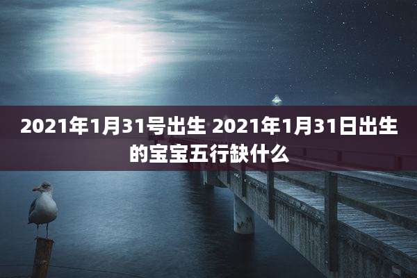 2021年1月31号出生 2021年1月31日出生的宝宝五行缺什么