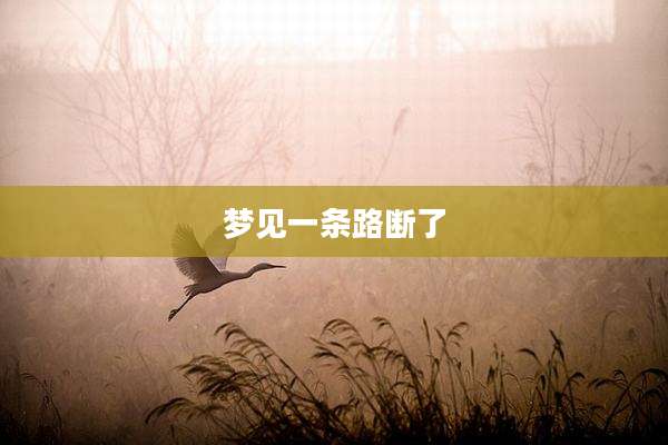 梦见一条路断了