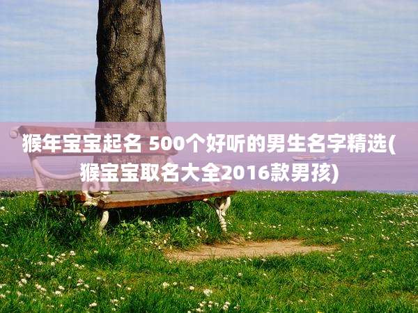 猴年宝宝起名 500个好听的男生名字精选(猴宝宝取名大全2016款男孩)