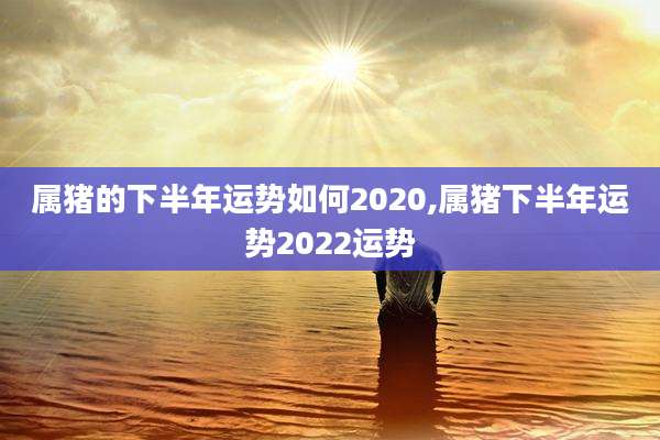 属猪的下半年运势如何2020,属猪下半年运势2022运势