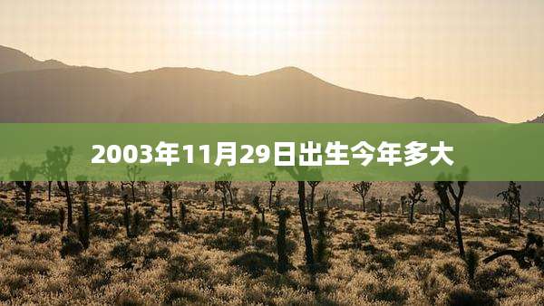 2003年11月29日出生今年多大