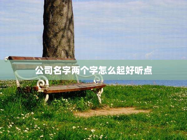 公司名字两个字怎么起好听点