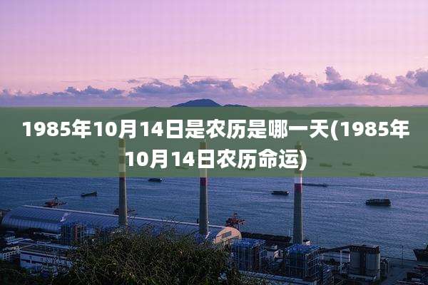 1985年10月14日是农历是哪一天(1985年10月14日农历命运)