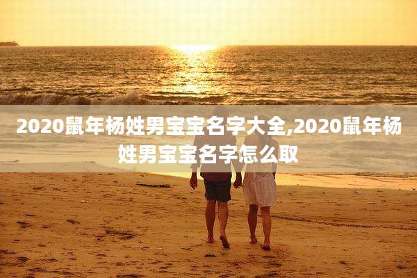 2020鼠年杨姓男宝宝名字大全,2020鼠年杨姓男宝宝名字怎么取