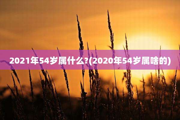 2021年54岁属什么?(2020年54岁属啥的)