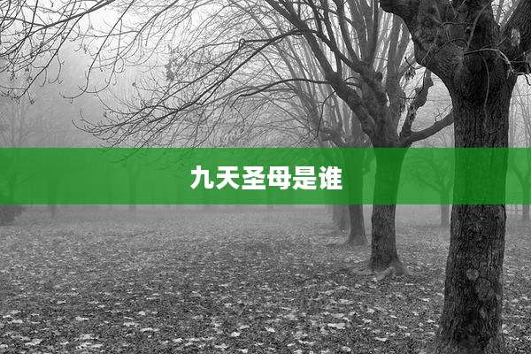 九天圣母是谁