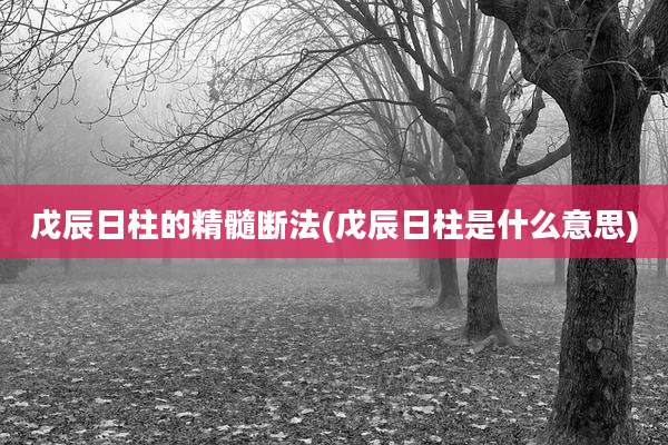 戊辰日柱的精髓断法(戊辰日柱是什么意思)