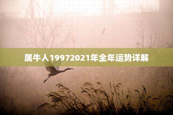 属牛人19972021年全年运势详解