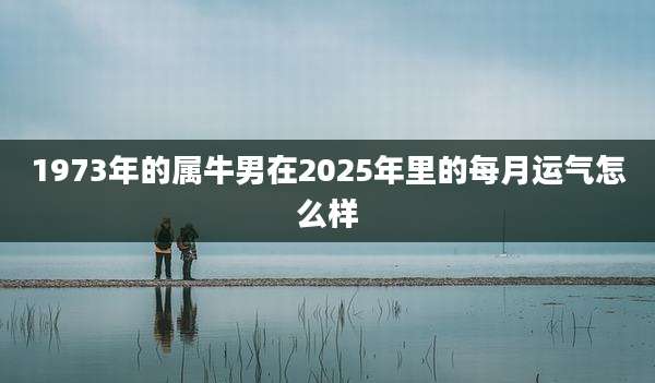 1973年的属牛男在2025年里的每月运气怎么样