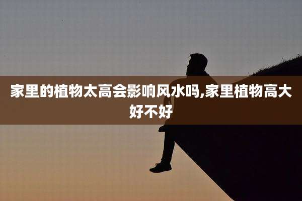 家里的植物太高会影响风水吗,家里植物高大好不好