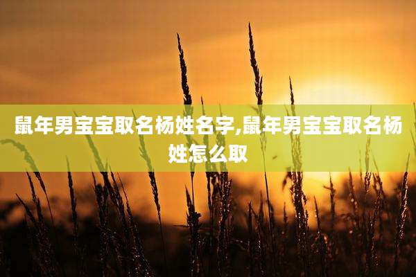鼠年男宝宝取名杨姓名字,鼠年男宝宝取名杨姓怎么取