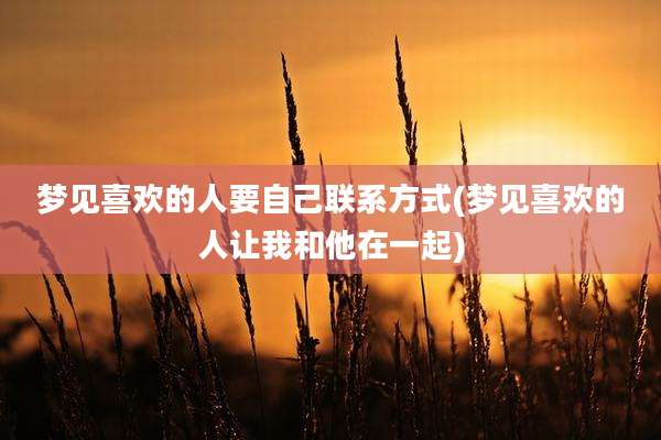 梦见喜欢的人要自己联系方式(梦见喜欢的人让我和他在一起)
