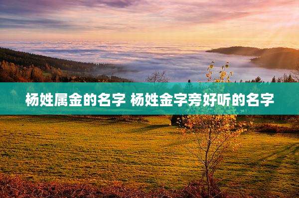 杨姓属金的名字 杨姓金字旁好听的名字