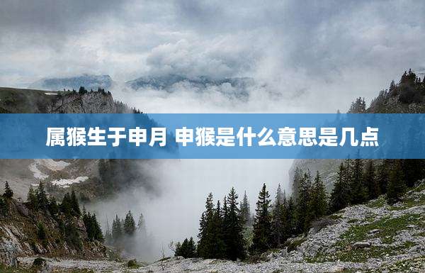 属猴生于申月 申猴是什么意思是几点