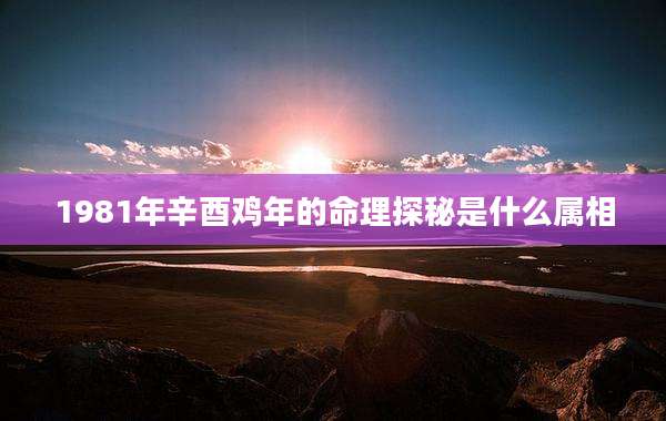 1981年辛酉鸡年的命理探秘是什么属相