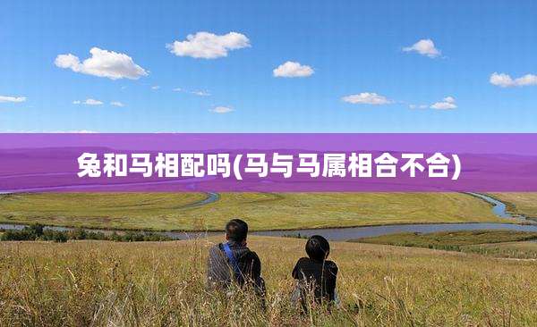 兔和马相配吗(马与马属相合不合)