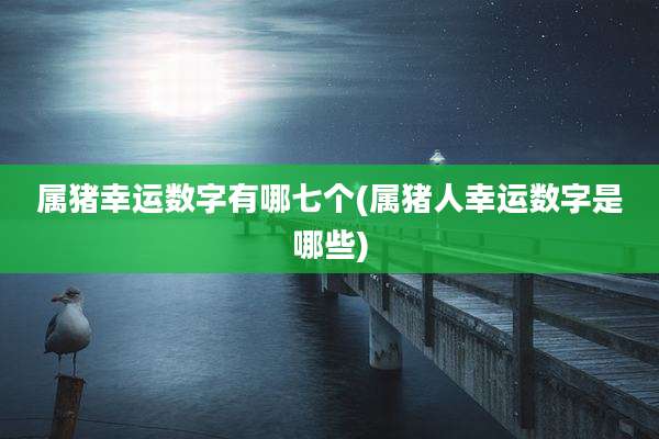 属猪幸运数字有哪七个(属猪人幸运数字是哪些)