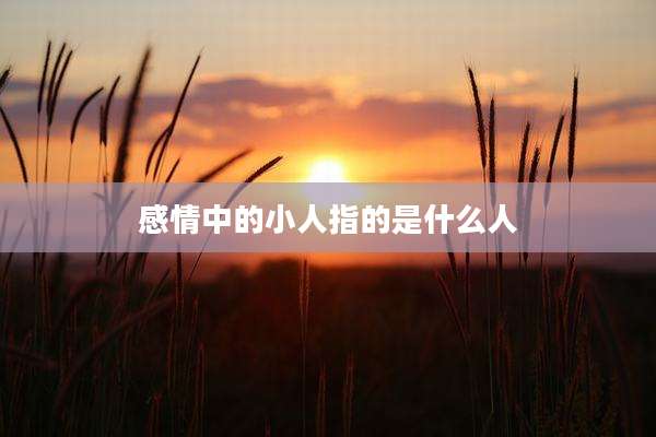 感情中的小人指的是什么人