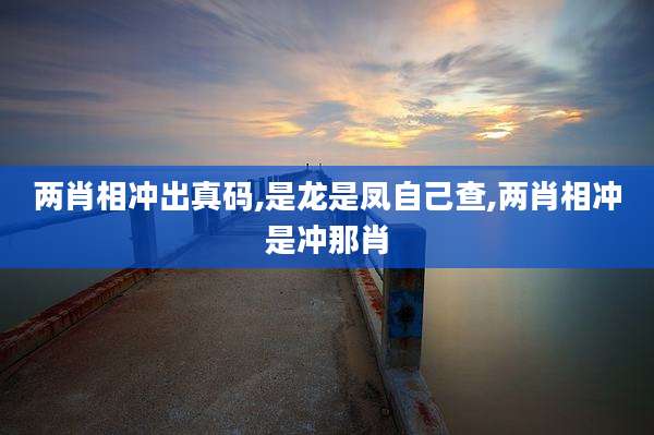 两肖相冲出真码,是龙是凤自己查,两肖相冲是冲那肖