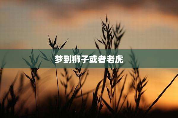 梦到狮子或者老虎