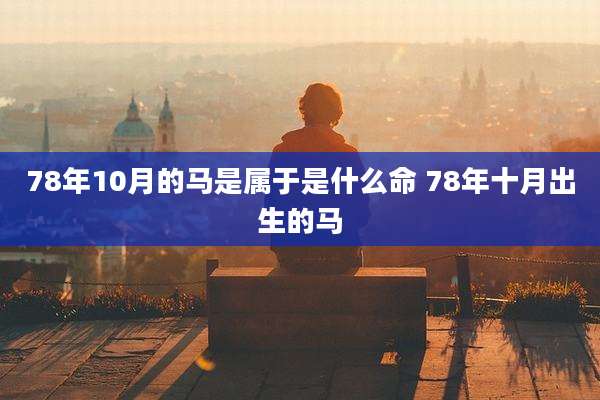 78年10月的马是属于是什么命 78年十月出生的马