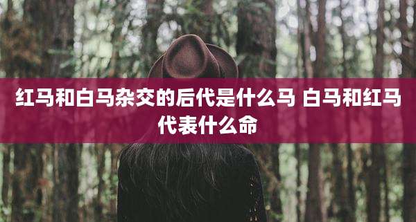 红马和白马杂交的后代是什么马 白马和红马代表什么命