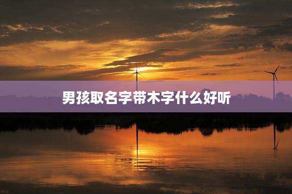男孩取名字带木字什么好听