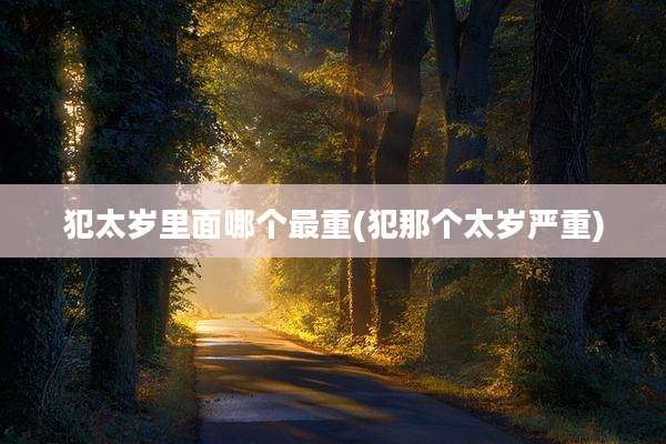 犯太岁里面哪个最重(犯那个太岁严重)