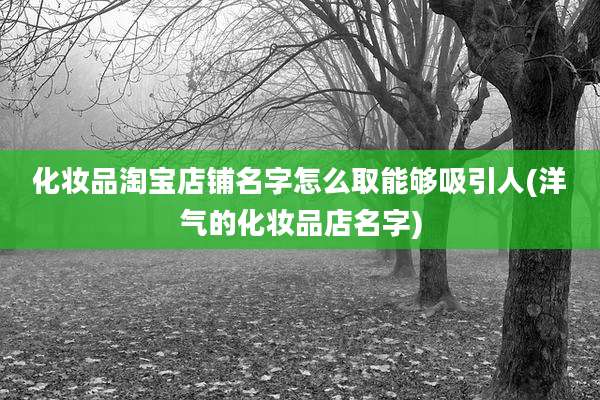 化妆品淘宝店铺名字怎么取能够吸引人(洋气的化妆品店名字)