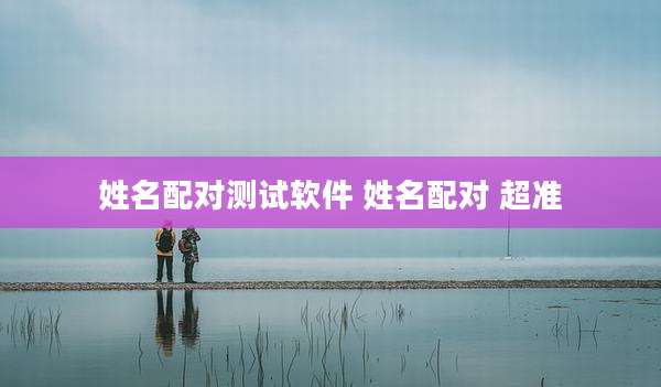 姓名配对测试软件 姓名配对 超准
