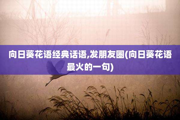 向日葵花语经典话语,发朋友圈(向日葵花语最火的一句)