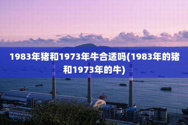 1983年猪和1973年牛合适吗(1983年的猪和1973年的牛)