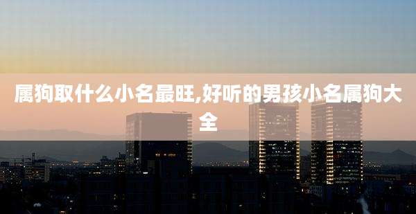 属狗取什么小名最旺,好听的男孩小名属狗大全