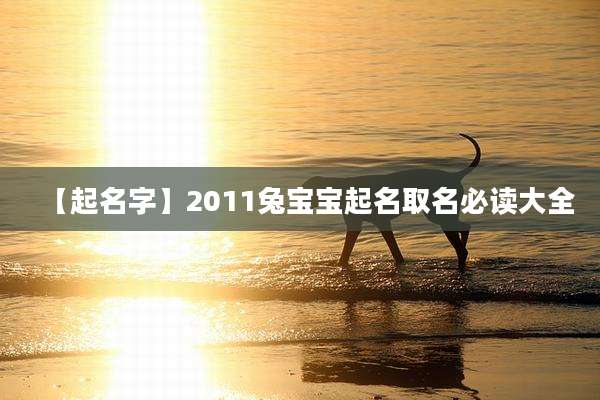【起名字】2011兔宝宝起名取名必读大全