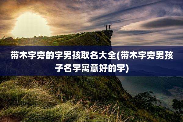 带木字旁的字男孩取名大全(带木字旁男孩子名字寓意好的字)