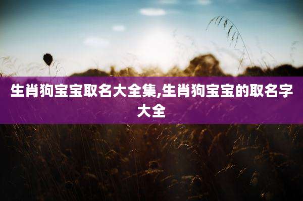 生肖狗宝宝取名大全集,生肖狗宝宝的取名字大全