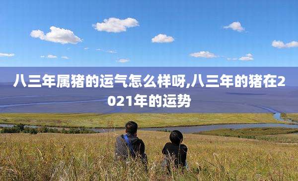 八三年属猪的运气怎么样呀,八三年的猪在2021年的运势