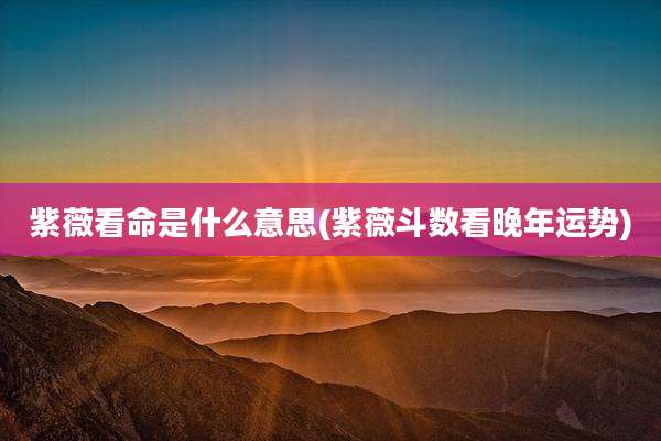 紫薇看命是什么意思(紫薇斗数看晚年运势)