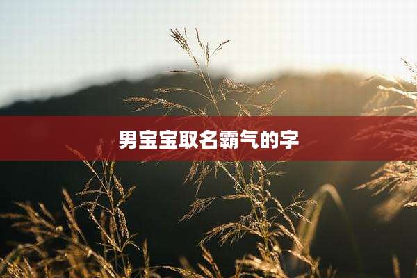 男宝宝取名霸气的字
