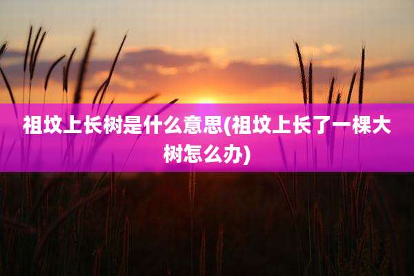 祖坟上长树是什么意思(祖坟上长了一棵大树怎么办)