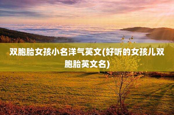 双胞胎女孩小名洋气英文(好听的女孩儿双胞胎英文名)