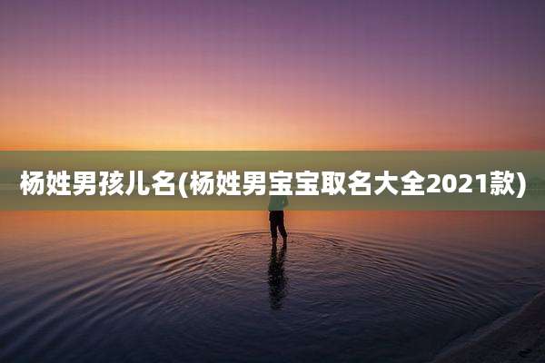 杨姓男孩儿名(杨姓男宝宝取名大全2021款)