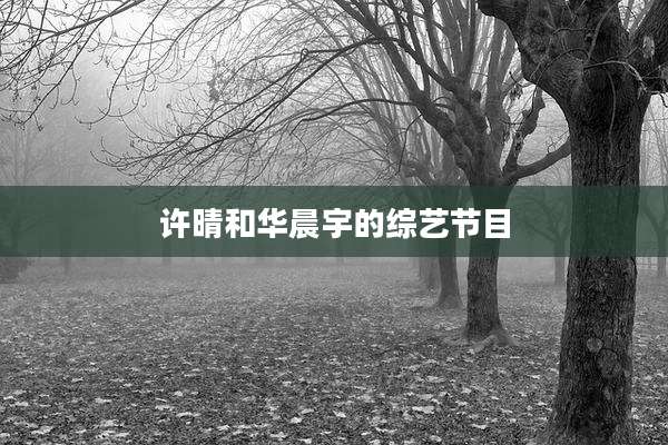 许晴和华晨宇的综艺节目