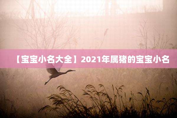 【宝宝小名大全】2021年属猪的宝宝小名